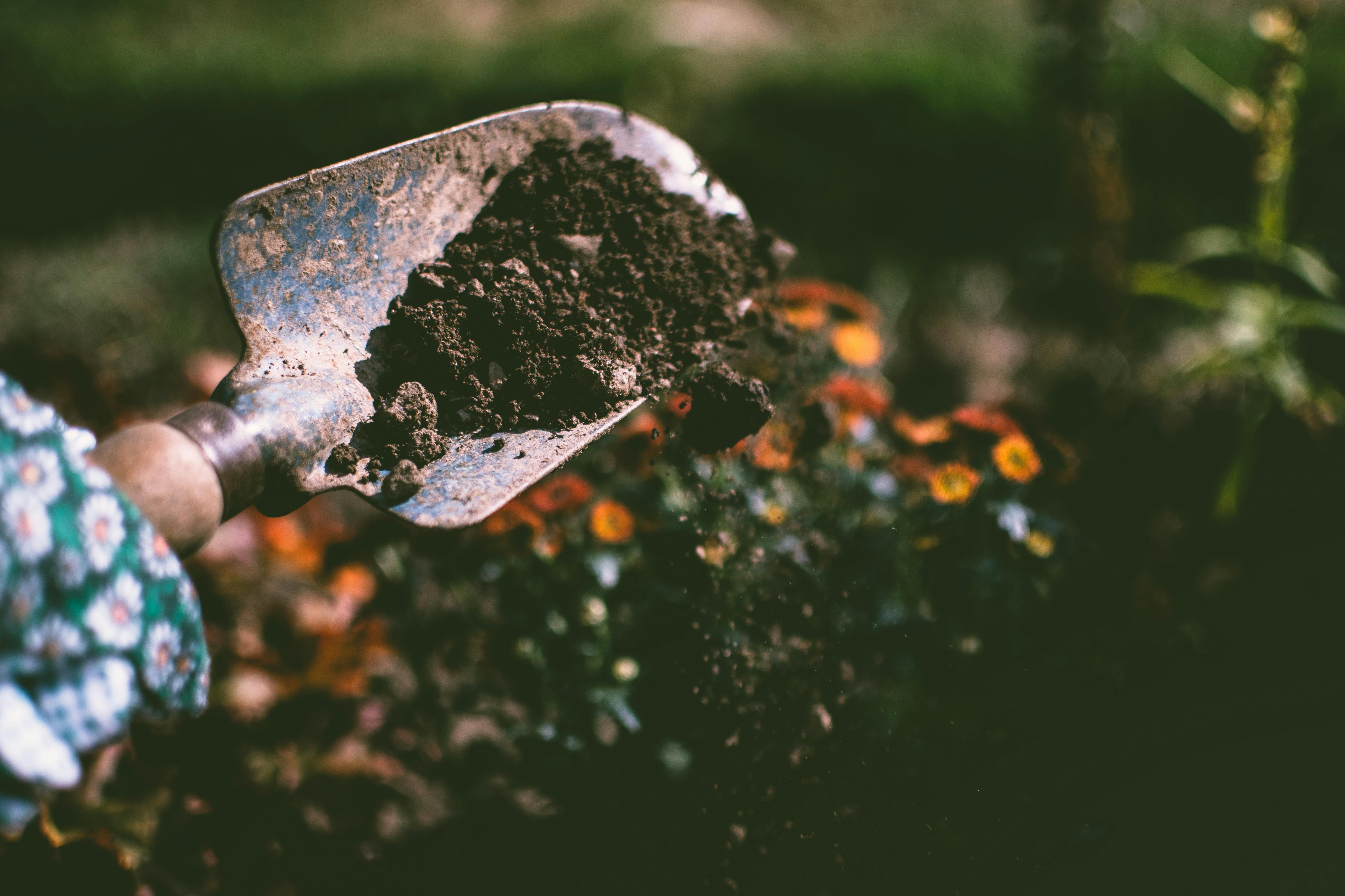shovel