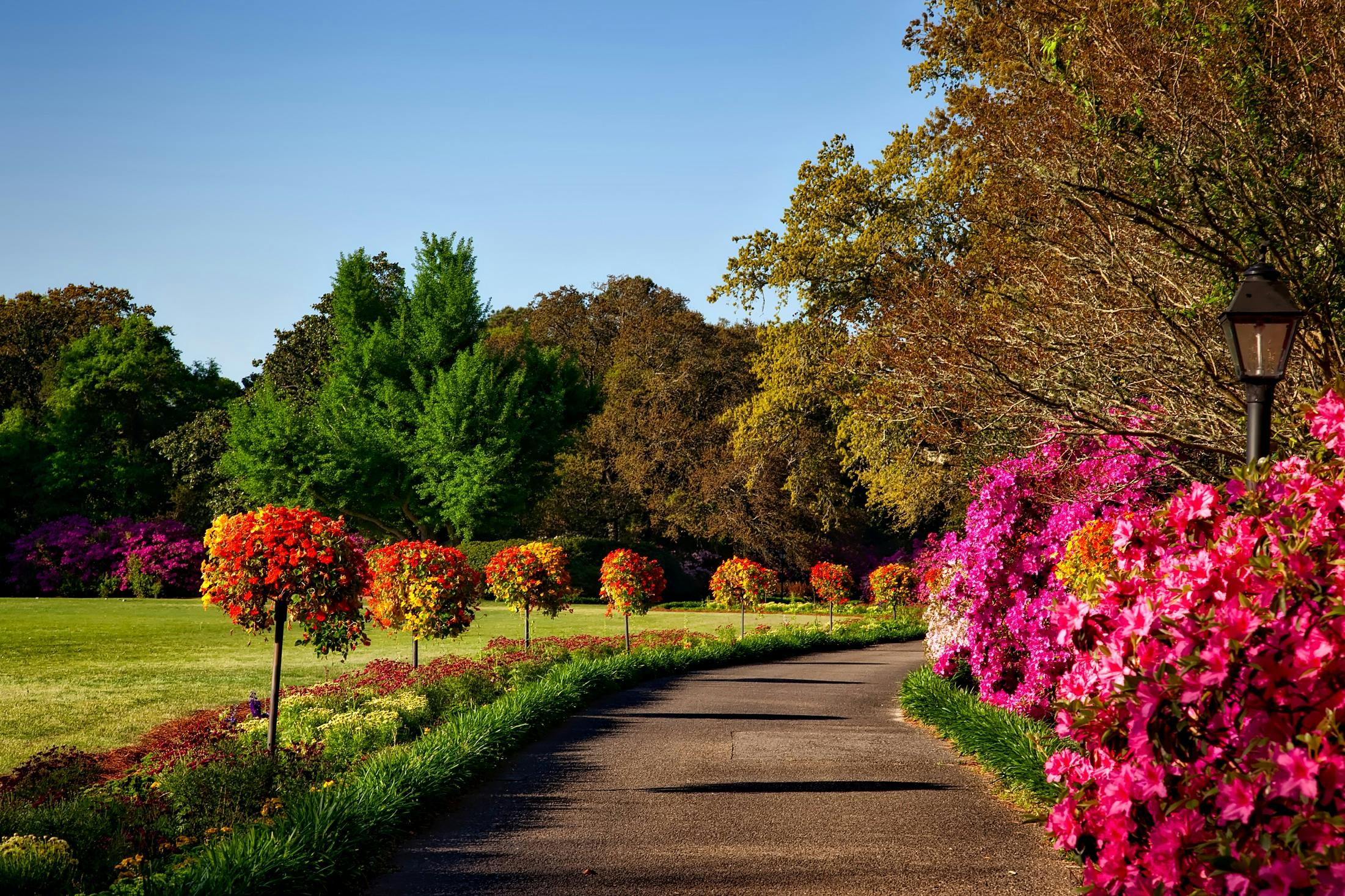 beautiful park